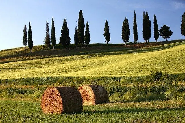 Apartment Palazzo Alle Mura Appartamenti Per Vacanze Staggia Senese Italy