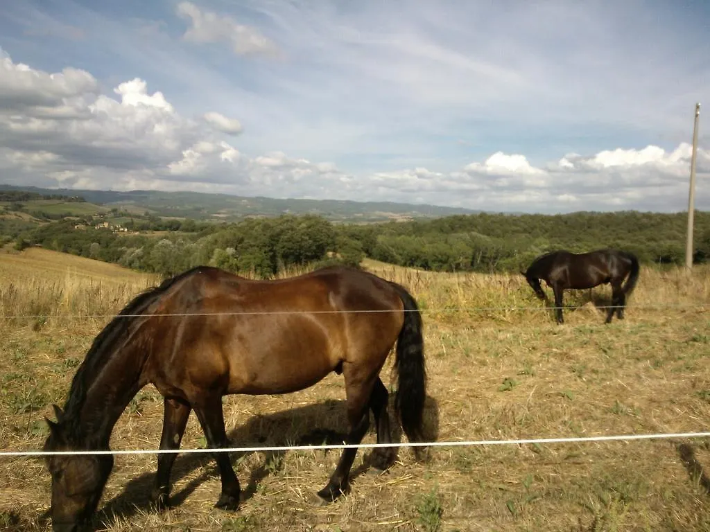 Palazzo Alle Mura Appartamenti Per Vacanze Staggia Senese Apartment